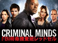 クリミナル・マインド/FBI 特命捜査班レッドセル のサムネイル画像