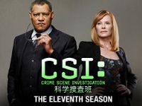 CSI:科学捜査班 シーズン11 のサムネイル画像