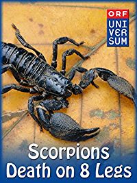 SCORPIONS - DEATH ON 8 LEGS のサムネイル画像