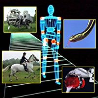 NATURE'S TECHNOLOGY のサムネイル画像