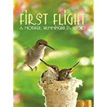 FIRST FLIGHT: A MOTHER HUMMINGBIRD'S STORY のサムネイル画像