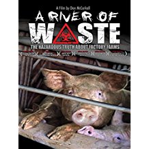 A River of Waste のサムネイル画像
