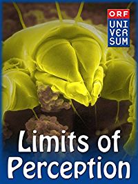 LIMITS OF PERCEPTION のサムネイル画像
