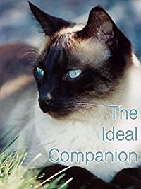 THE IDEAL COMPANION のサムネイル画像