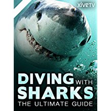 DIVING WITH SHARKS: THE ULTIMATE GUIDE のサムネイル画像