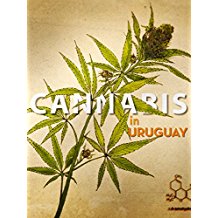 CANNABIS IN URUGUAY のサムネイル画像