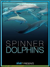 SPINNER DOLPHINS のサムネイル画像
