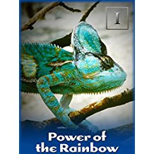 POWER OF THE RAINBOW のサムネイル画像
