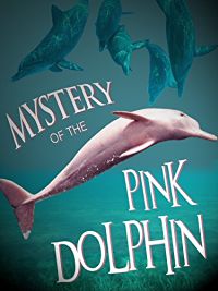 MYSTERY OF THE PINK DOLPHIN のサムネイル画像