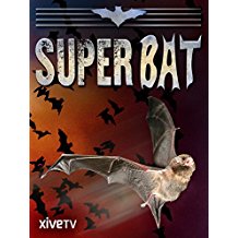 Super Bat のサムネイル画像