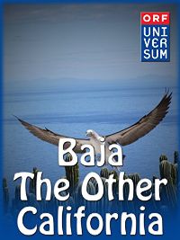 BAJA - THE OTHER CALIFORNIA のサムネイル画像