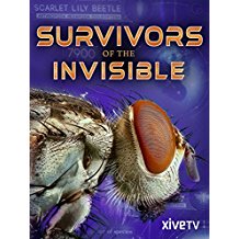 SURVIVORS OF THE INVISIBLE のサムネイル画像