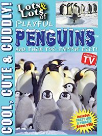 LOTS AND LOTS OF PLAYFUL PENGUINS - COOL, CUTE AND CUDDLY PENGUINS PENGUINS のサムネイル画像