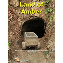 Land of Amber のサムネイル画像