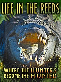 LIFE IN THE REEDS: WHERE THE HUNTERS BECOME THE HUNTED のサムネイル画像