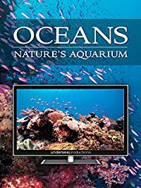OCEANS: NATURE'S AQUARIUM のサムネイル画像