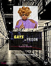 GAYS IN PRISON のサムネイル画像