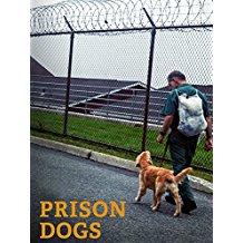 PRISON DOGS のサムネイル画像