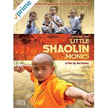 LITTLE SHAOLIN MONKS のサムネイル画像