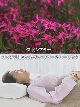 快眠シアター ぐっすり眠るためのハウツー&ヒーリング のサムネイル画像