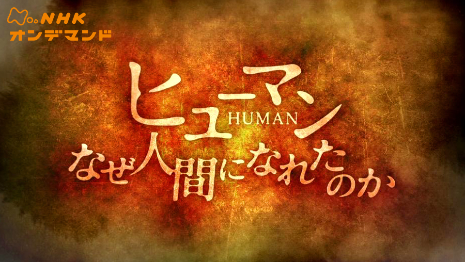 ヒューマン なぜ人間になれたのか のサムネイル画像