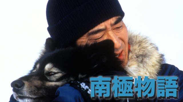 南極物語 (1983) のサムネイル画像