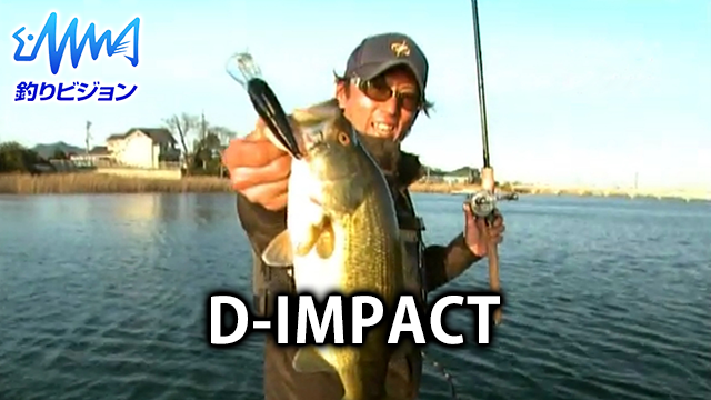 D-IMPACT のサムネイル画像