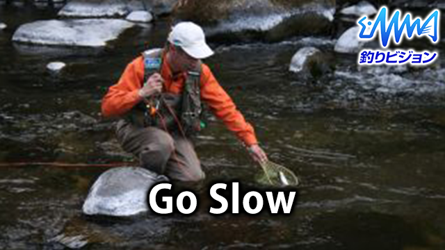 GO SLOW のサムネイル画像