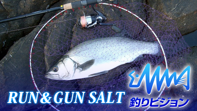 RUN&GUN SALT のサムネイル画像