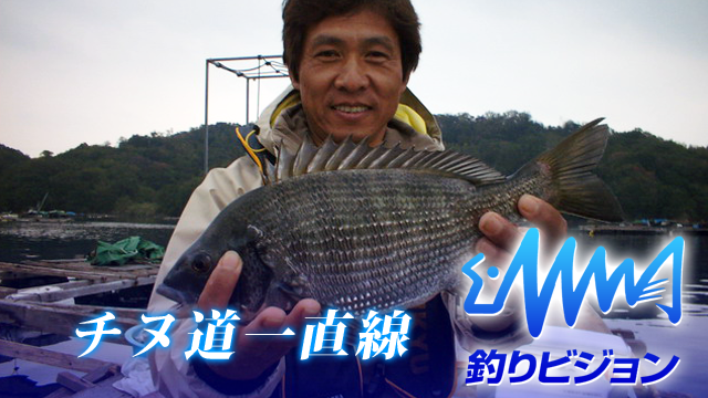 チヌ道一直線 のサムネイル画像