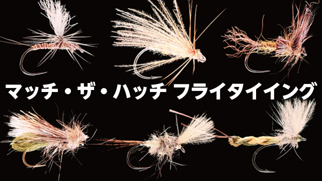MATCH THE HATCH FLY TYING マッチ・ザ・ハッチ フライ・タイイング のサムネイル画像