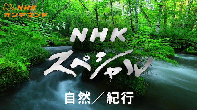 Nスペ 自然/紀行 のサムネイル画像