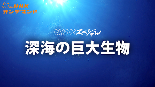 Nスペ 深海の巨大生物 のサムネイル画像