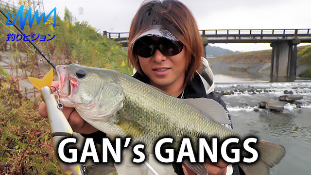 GAN'S GANGS のサムネイル画像