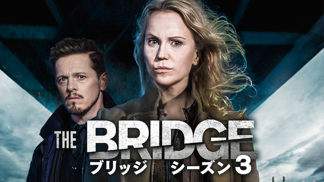 THE BRIDGE/ブリッジ シーズン3 のサムネイル画像