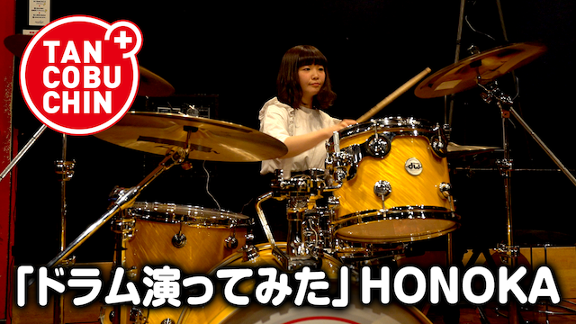 たんこぶちん｢ドラム演ってみた｣/HONOKA のサムネイル画像
