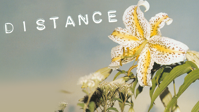 DISTANCE のサムネイル画像