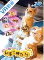 【VR】 お家で猫カフェ のサムネイル画像