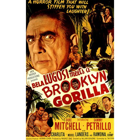 ベラ・ルゴシ対ブルックリン・ゴリラ のサムネイル画像