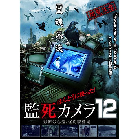 ほんとうに映った! 監死カメラ 12 のサムネイル画像