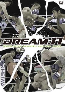 DREAM.11 フェザー級グランプリ2009 決勝戦 のサムネイル画像