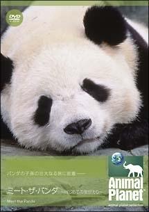 のサムネイル画像