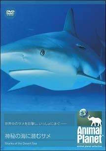 のサムネイル画像