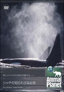 のサムネイル画像