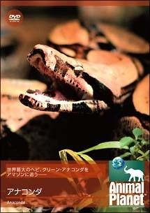 のサムネイル画像