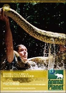 のサムネイル画像