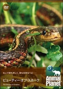 のサムネイル画像