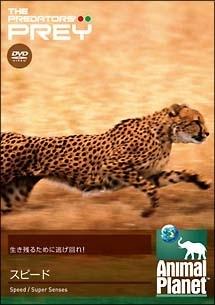 のサムネイル画像