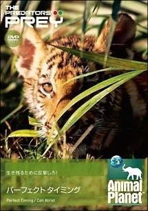 のサムネイル画像