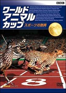 BBC ワールド・アニマル・カップ ~スポーツの祭典 のサムネイル画像